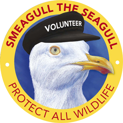 (c) Smeagullsguide.org